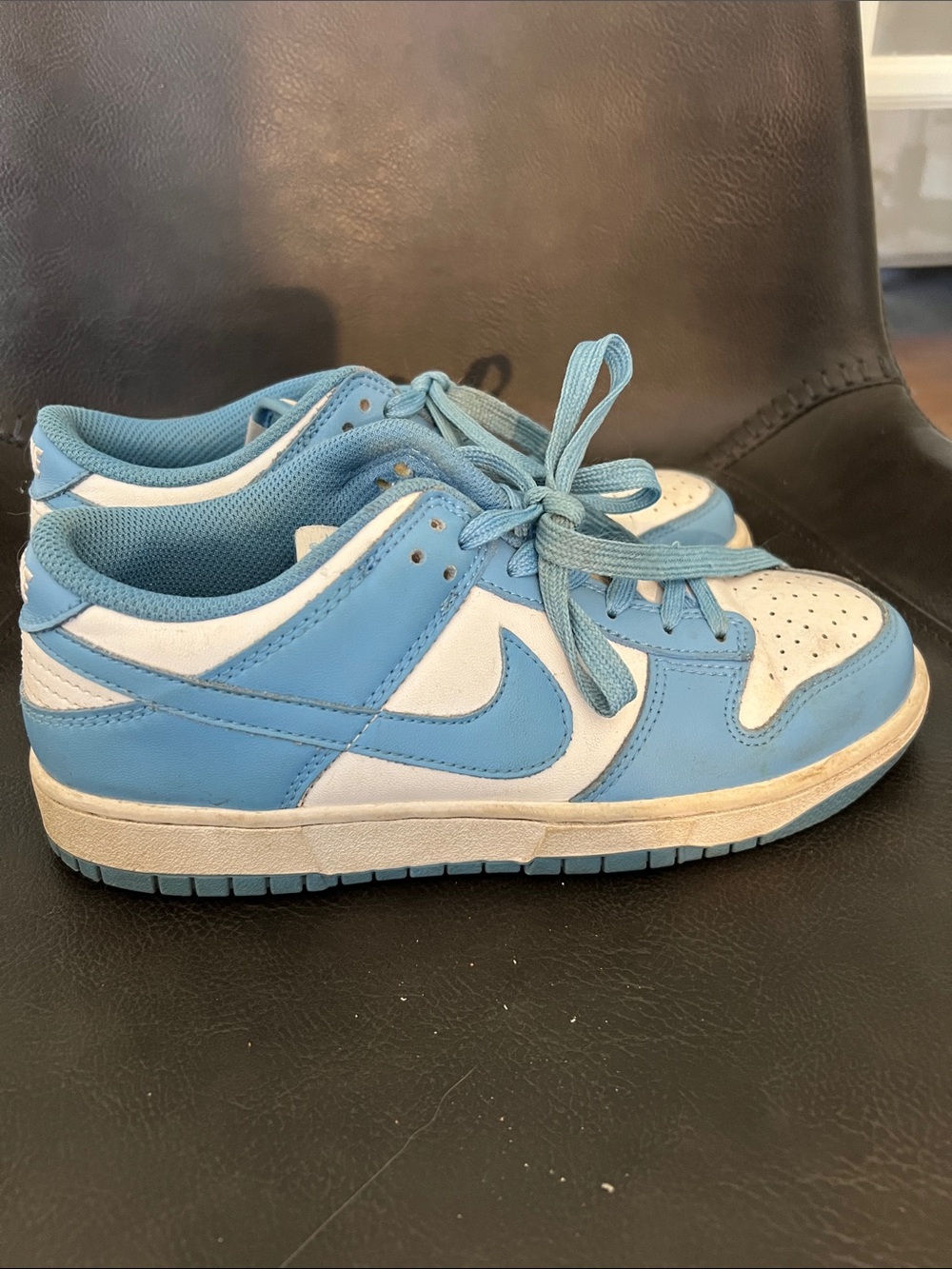Nike Dunks Kids Low-Top Sneakers in Light Blue and White